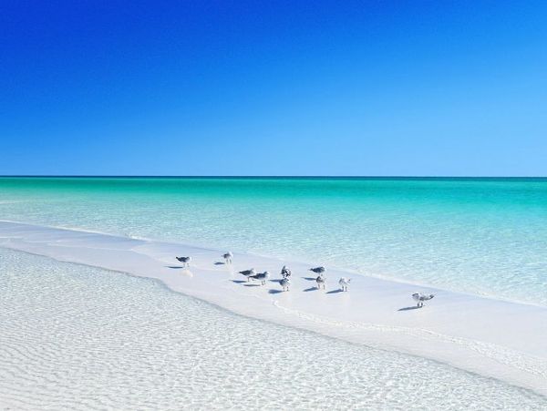 Miramar Beach Five Bedroom Rental Home Sleeps 20 Guests