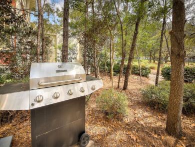 Beaches Of South Walton Home 935427