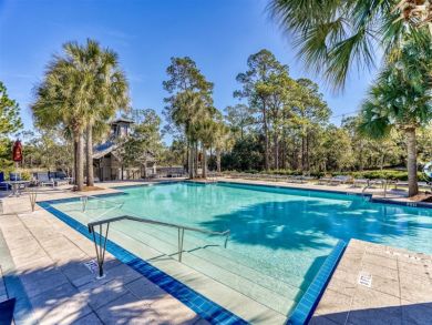Beaches Of South Walton Home 935429
