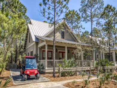 Beaches Of South Walton Home 935489