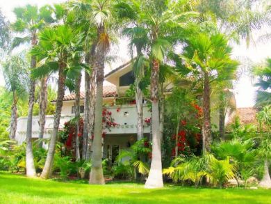 Charming Pool Home for Rent on Ojai Valley  Sleeps 10 Guests