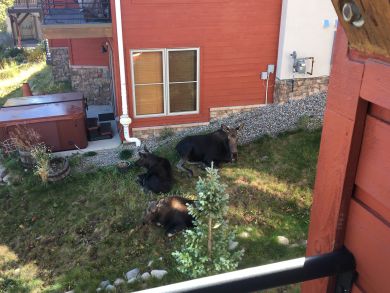 Breckenridge Home 936045