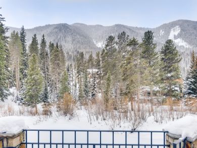 Vail Lionshead Home 936077