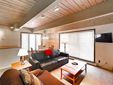 Aspen Condo 936080