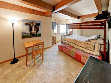 Snowmass Condo 936081