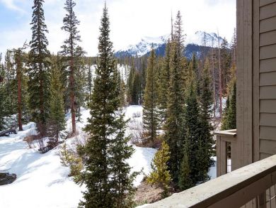 Breckenridge Condo 936087