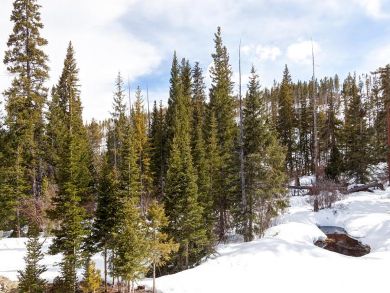 Breckenridge Condo 936087
