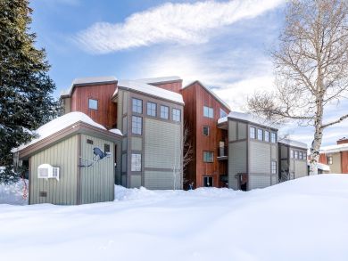 Steamboat Springs Condo 936092