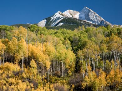 Snowmass Home 936093