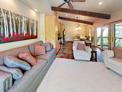 Snowmass Condo 936132