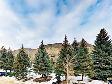 Beaver Creek Bachelor Gulch Condo 936168