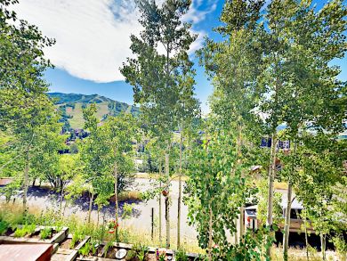 Steamboat Springs Condo 936169