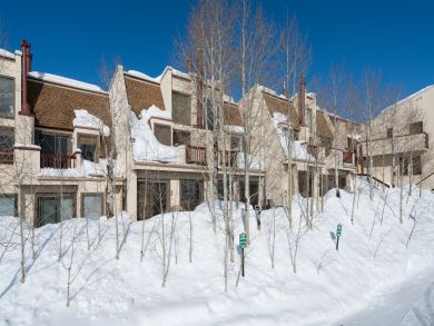 Steamboat Springs Condo 936169