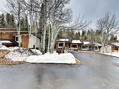 Steamboat Springs Home 936182