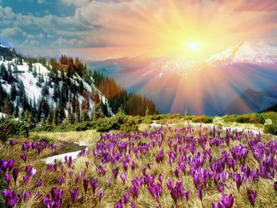Steamboat Springs Home 936182