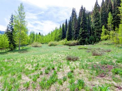 Vail Lionshead Condo 936209
