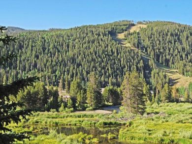 Breckenridge Condo 936210