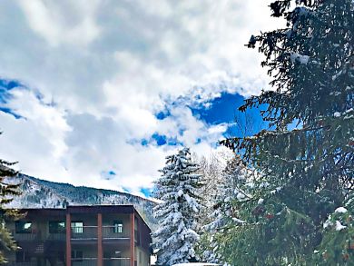 Aspen Condo 936219