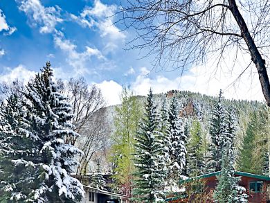 Aspen Condo 936219