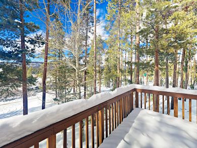Winter Park Home 936223