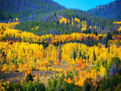 Breckenridge Condo 936228