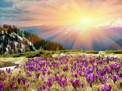 Steamboat Springs Condo 936229 Steamboat Springs Condo 936229