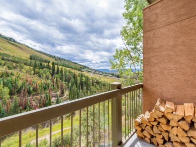 Steamboat Springs Condo 936235