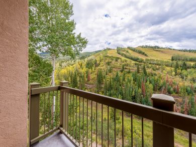 Steamboat Springs Condo 936235