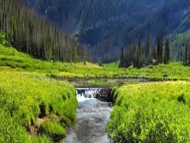 Steamboat Springs Condo 936285