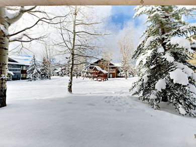 Steamboat Springs Condo 936296