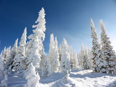 Steamboat Springs Condo 936296