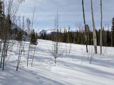 Breckenridge Home 936302