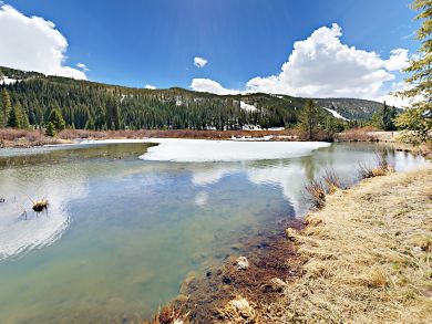 Breckenridge Condo 936305