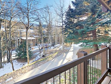 Snowmass Condo 936308