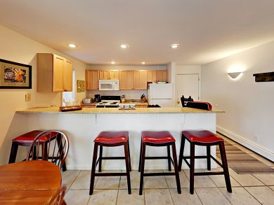 Snowmass Condo 936308