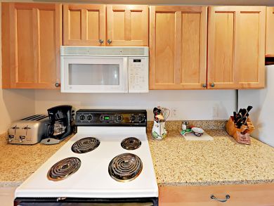 Snowmass Condo 936308