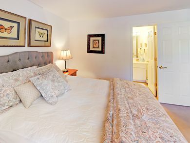 Snowmass Condo 936308