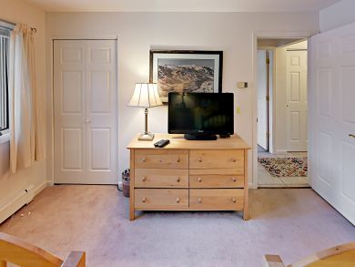 Snowmass Condo 936308
