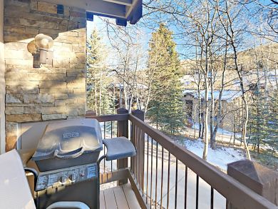 Snowmass Condo 936308