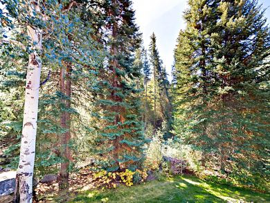 Steamboat Springs Home 936347