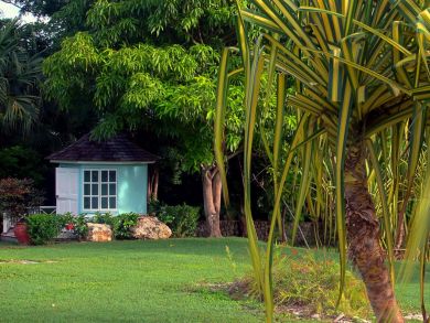 Jamaica Home 936368