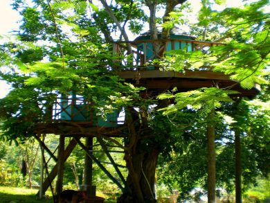 Jamaica Home 936368