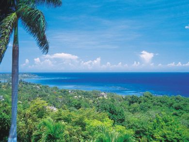 Jamaica Home 936374