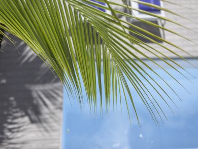Saint Maarten Saint Martin Home 936463