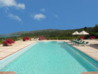Jamaica Home 936469
