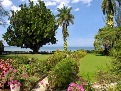 Jamaica Home 936479 Jamaica Home 936479