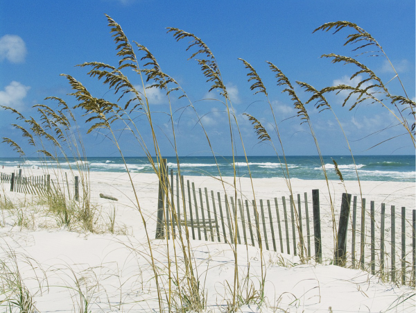Pensacola Vacation Rental Pool Home 4 Bedrooms Sleeps 12 Guests