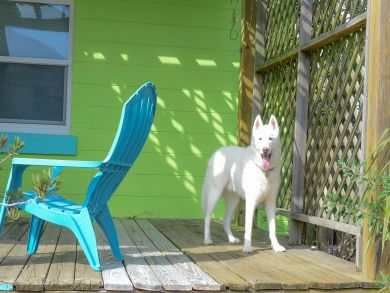 Pensacola Beach Home 936713