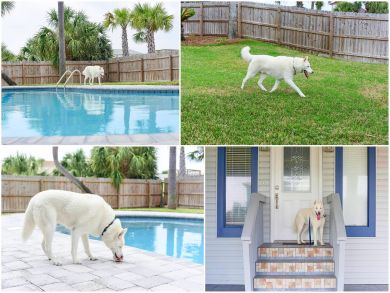 Pensacola Beach Home 936740 Pensacola Beach Home 936740