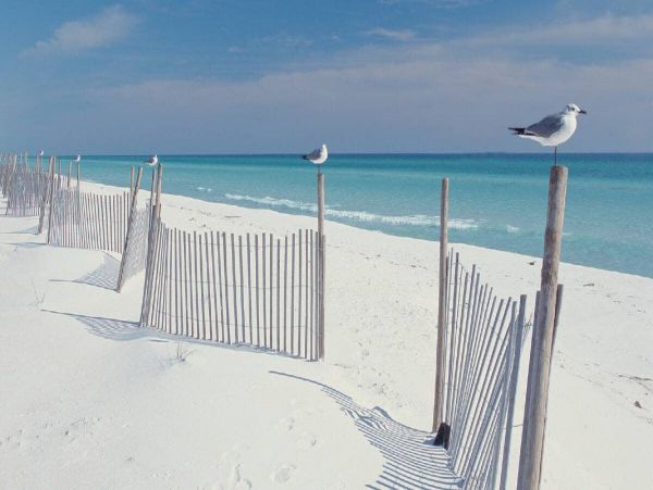 Pensacola Beach Rental Holiday Weeks